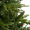 8ft. Pre-Lit Colorado Mountain Fir Natural Look Artificial Christmas Tree, White LED Lights